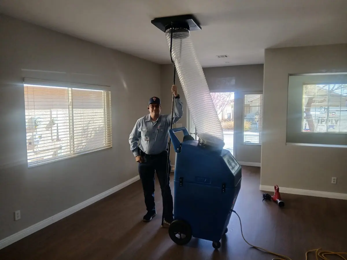 Professional Dryer Vent Cleaning work inside a Morton home
